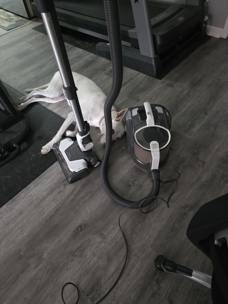 Kenmore DC5070 500 Series Bagless Canister Vacuum with Hair Eliminator Brushroll，2-Motor Cyclonic Technology, HEPA Filtration & 24' Auto Cord Rewind for Pet, Carpets, Hard Floors, Stairs, White - Customer Photo 2