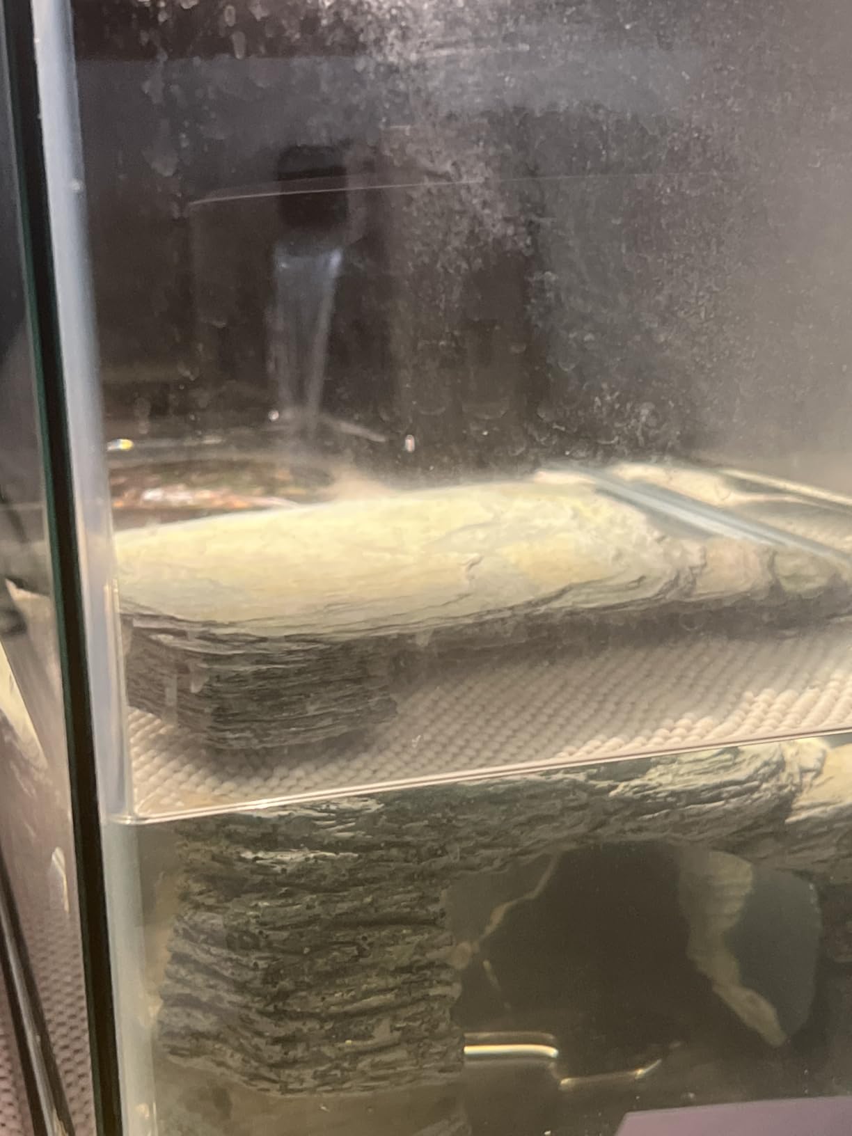 Large Powerful Turtle Tank Filter U V-ery for 55-155 Gallon Tank, Low Water Filter Turtle Water Filter for Amphibians Fresh Saltwater Cloudy Green Water Crystal Clear with Turtle Tank Deodorization - Customer Photo 1