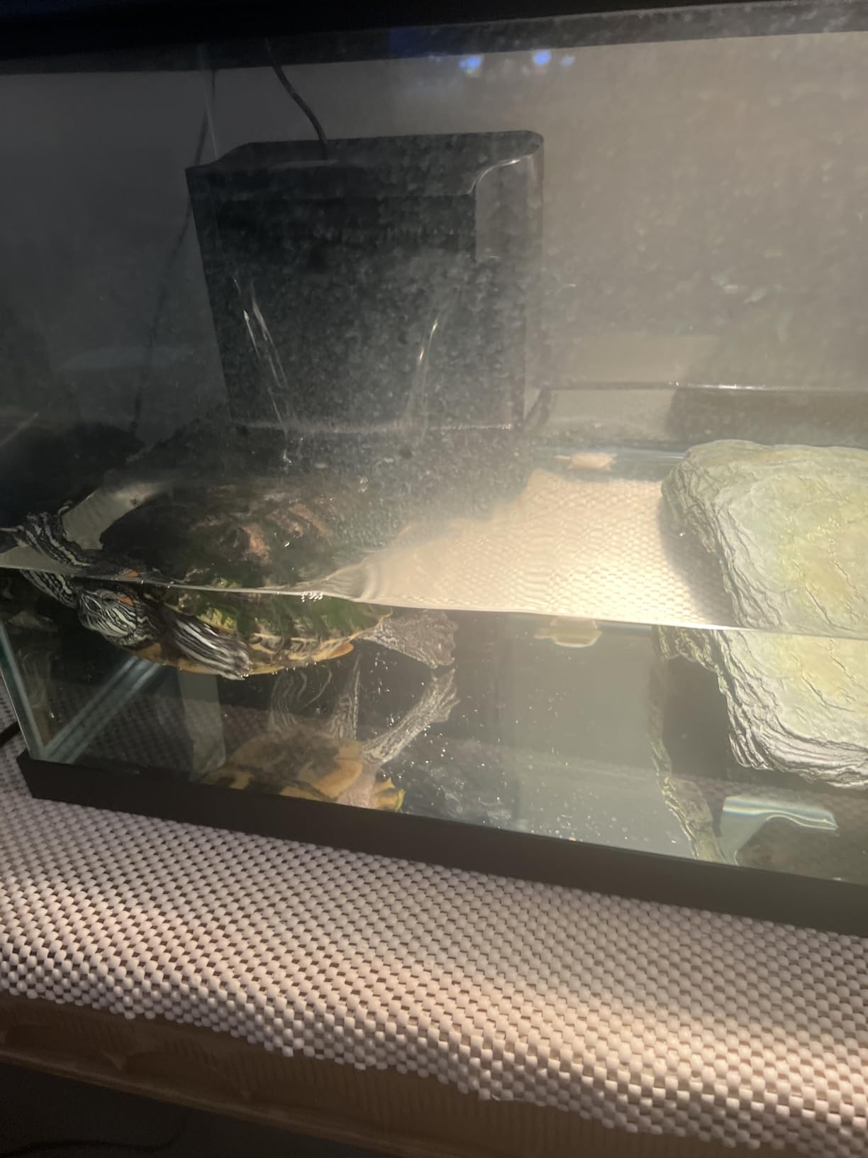 Large Powerful Turtle Tank Filter U V-ery for 55-155 Gallon Tank, Low Water Filter Turtle Water Filter for Amphibians Fresh Saltwater Cloudy Green Water Crystal Clear with Turtle Tank Deodorization - Customer Photo 2