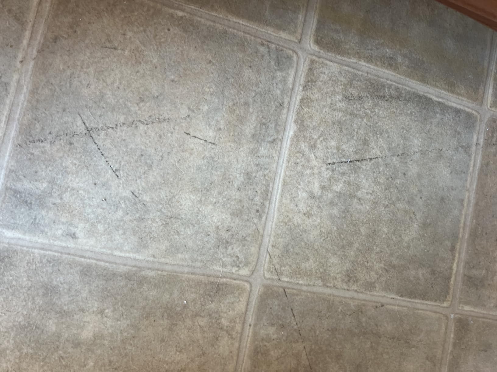 BISSELL PowerClean FurFinder 200W Self-Standing Cordless Vacuum w/Tangle Free Brush Roll, Strong Suction, Removeable Battery, Wall Mount, Upholstery Tool & Bright Headlights - Customer Photo 4