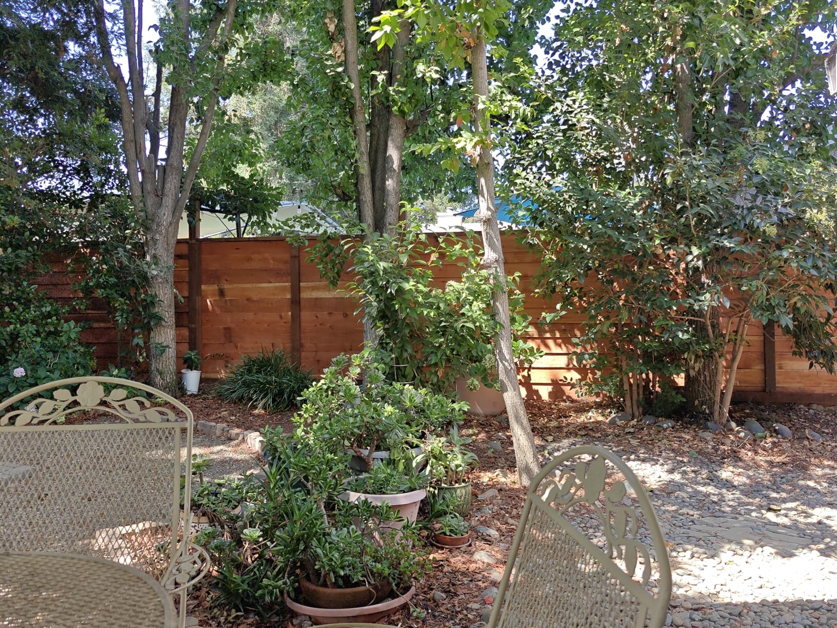 Wood Sealer Protection Liquid 1 Gallon (USA) 10 Year Wood Preserver Outdoor, Wood Sealer for decking, Fence, Sheds and Furniture - Customer Photo 2