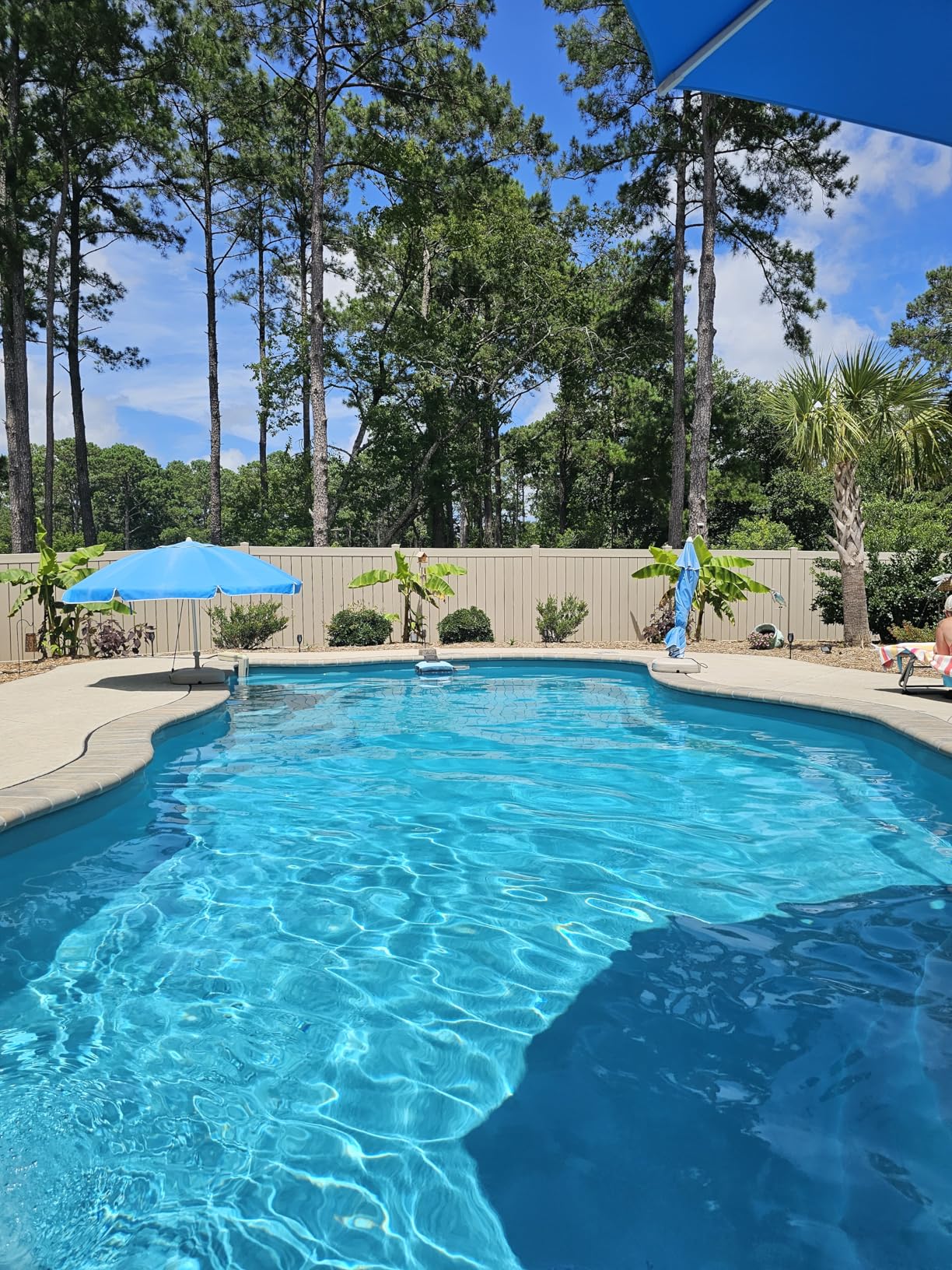 Cordless Pool Vacuum with Telescopic Pole, 18.5 GPM Powerful Suction, 1.5H Supercharge Technology, Handheld Rechargeable Pool Vacuum Cleaner for Above Ground/Inground Pools, Hot Tubs, Spas - Customer Photo 2