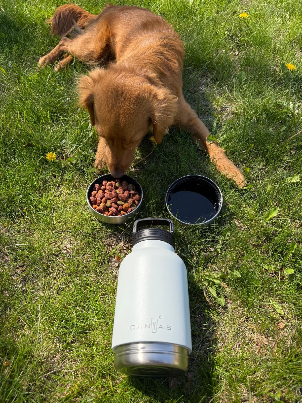 Insulated 32oz Stainless Steel Dog Water Bottle with Food & Water Bowls, Leak-Proof Pet Travel Dispenser for Dogs, Portable for Hiking, Walking, Outdoor - Customer Photo 1