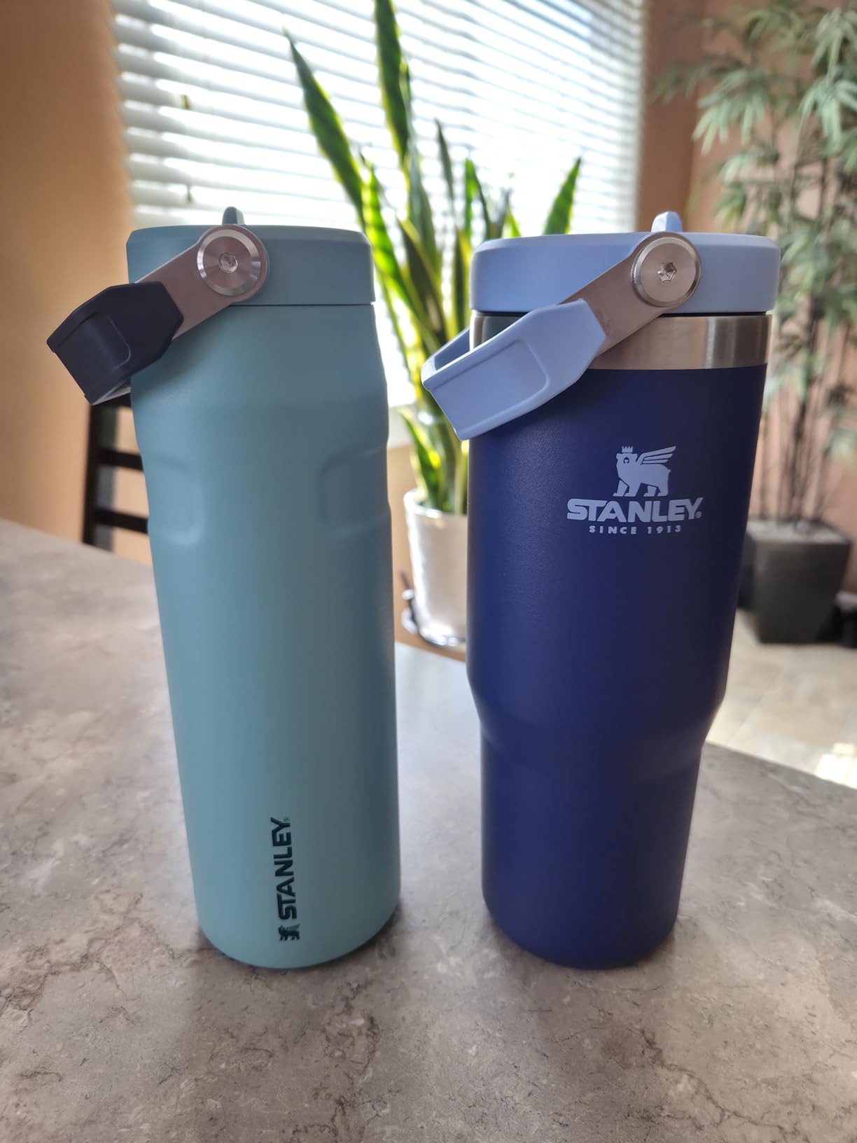 Stanley IceFlow Flip Straw 2.0 Water Bottle 24 oz | Built-In Straw for Travel and Sports | Lightweight and Leak Resistant | Insulated Stainless Steel | BPA-Free | Sienna - Customer Photo 2