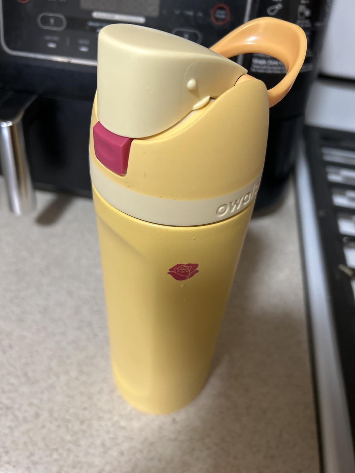 Owala Disney Princess FreeSip Insulated Stainless Steel Water Bottle with Straw for Sports and Travel, BPA-Free Sports Water Bottle, 24 oz, Tiana - Customer Photo 1