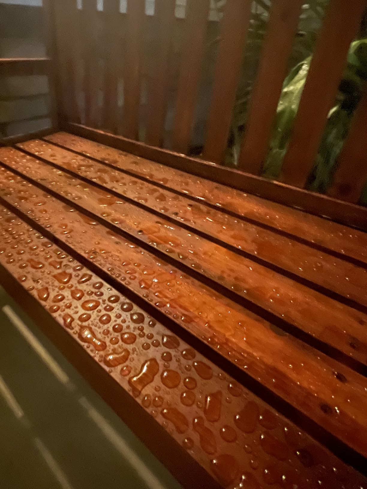 Olympic WaterGuard 11 oz. Clear Exterior Waterproofing Wood Sealer Spray - Customer Photo 1