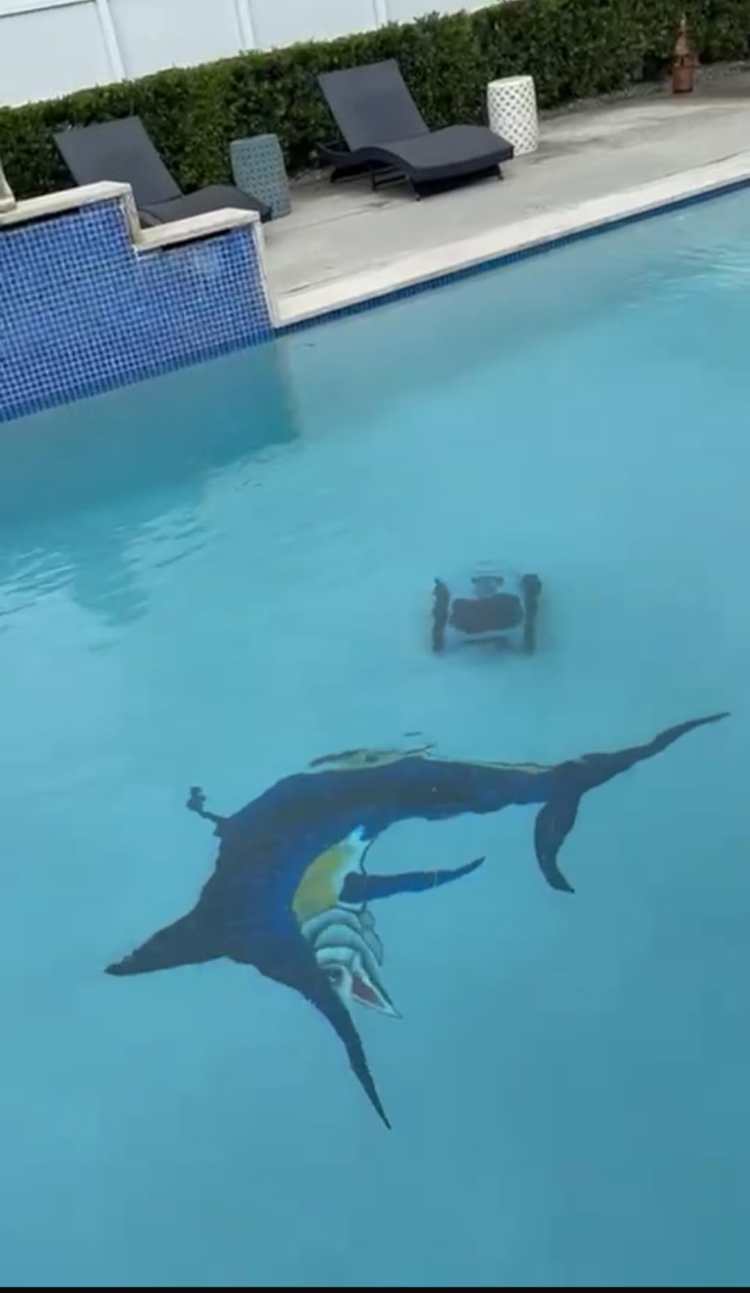 (2025 Upgrade) Pool Vacuum for Inground Pools, Robotic Pool Cleaner, Wall Climbing Pool Cleaner, Cleans Pool Floors, Drain & Walls & Waterline, Cleaning Up to 2100 Sq.ft, 180 Min - Customer Photo 1