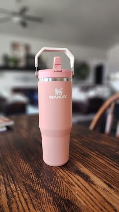 Stanley IceFlow 2.0 Flip Straw Tumbler with Handle 30 oz | Twist On Lid and Flip Up Straw | Leak Resistant Water Bottle | Insulated Stainless Steel | BPA-Free | Pistachio - Customer Photo 1