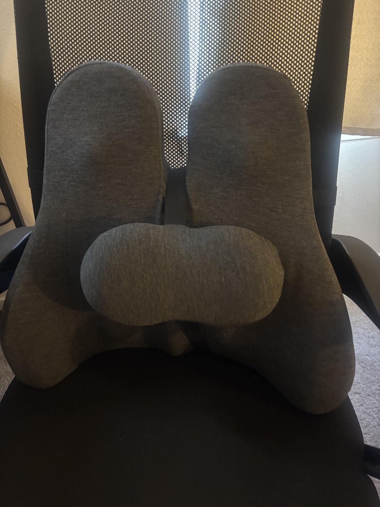 Lumbar Support Pillow for Office Chair - Lower Back Pain Relief Cushion with Adjustable SpineAlign™ Bolster, Memory Foam Pillow for Car, Couch, Gaming Seats - Dual Straps, Dark Grey - Customer Photo 1