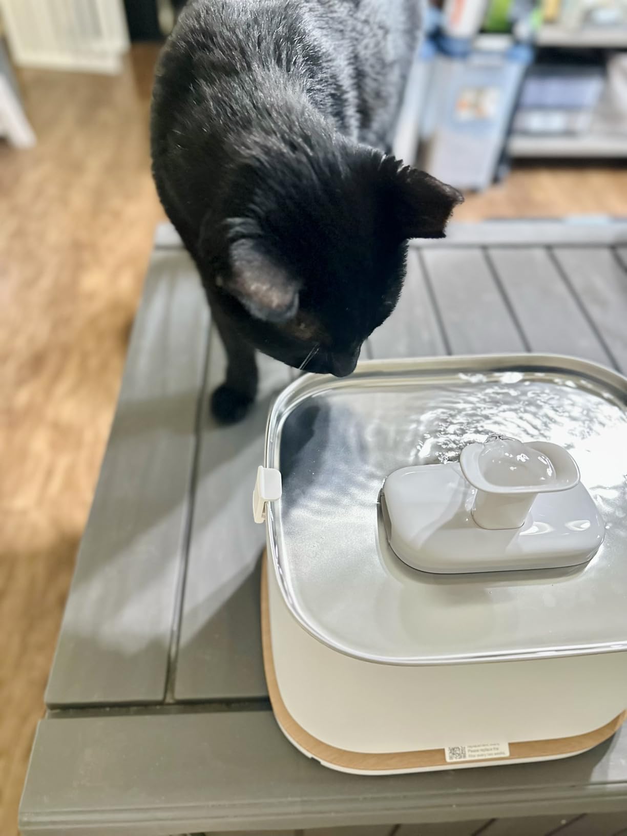 PETLIBRO Upgrade Cat Water Fountain, Cordless Cat Fountain Battery Operated, App Monitoring 3L/101oz Dockstream 2 Pet Water Fountain with Stainless Steel Tray, 5GHz WiFi Dog Water Bowl Dispenser - Customer Photo 2