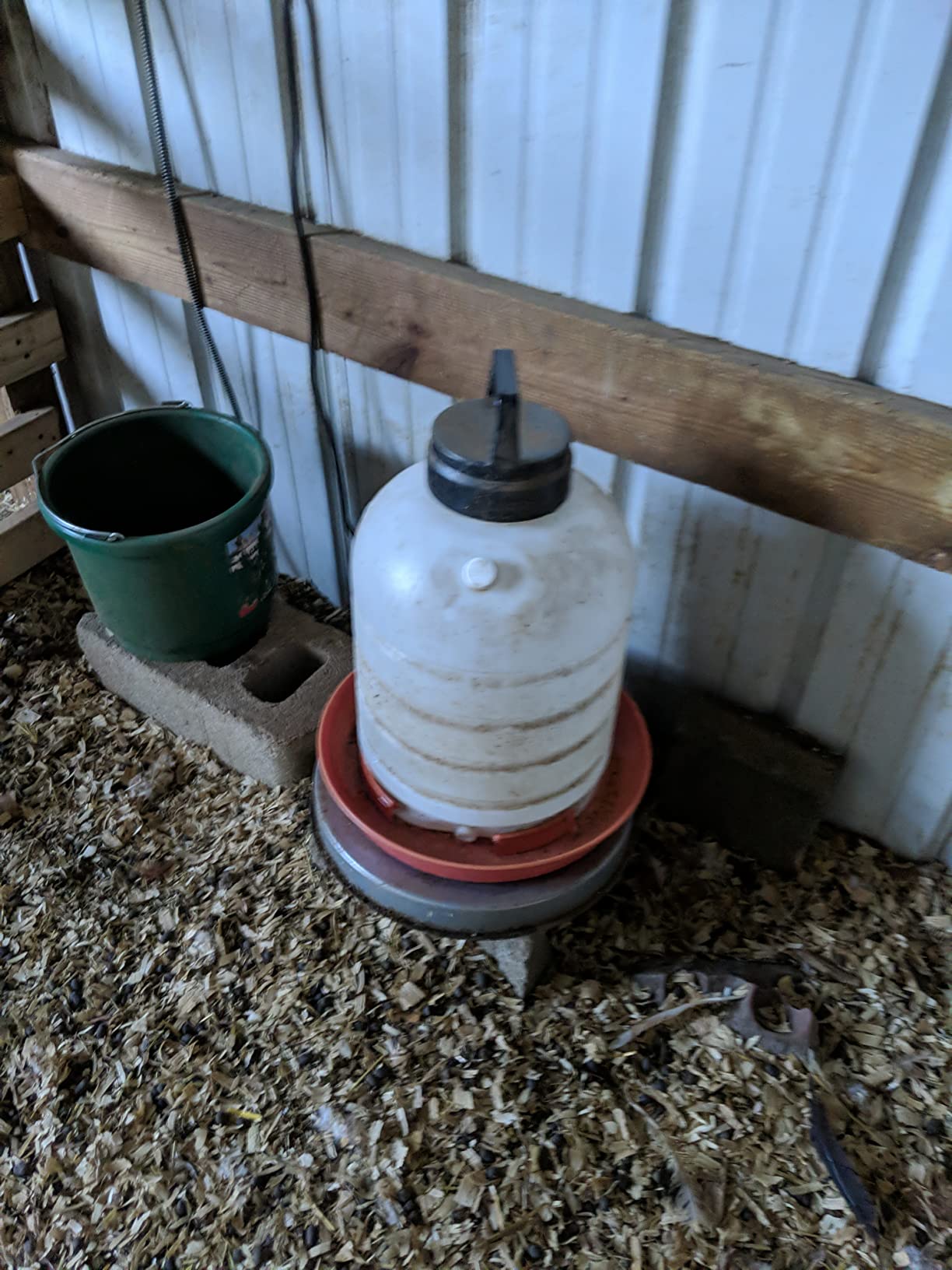 Chicken Water Heater for Winter: 11 Inch Chicken Water Heater Base, 77℉ Automatic Shut-Off, Safe for Outdoor Use, 125W Heated Chicken Waterer, Poultry Water Deicer with 6 Feet Cord - Customer Photo 1