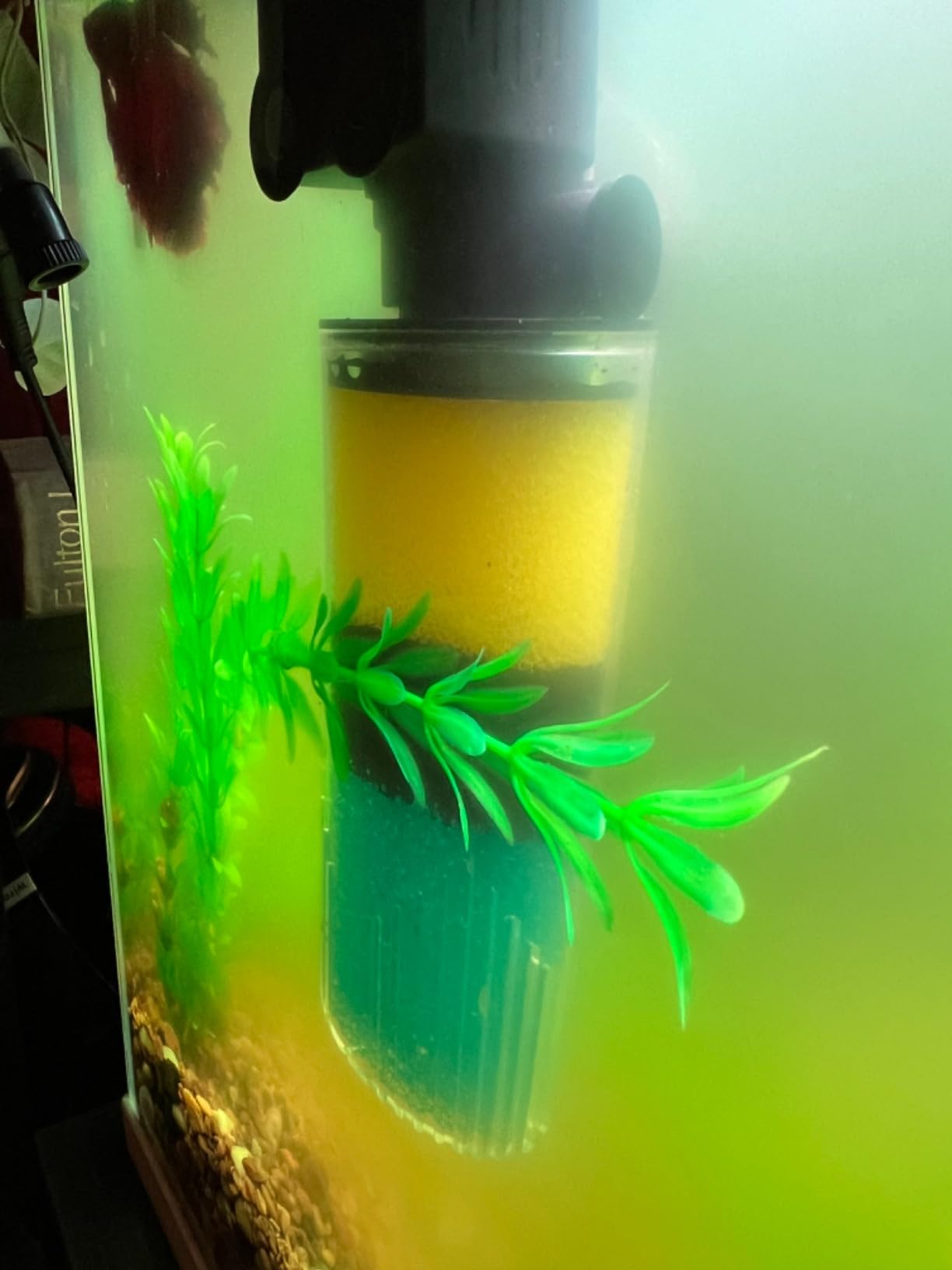 AquaMiracle Submersible Aquarium Filter 3-Stage in-Tank Filter with Dual Water Outlet & Aeration, Water Flow Adjustable 225GPH Internal Fish Tank Filter for 20-70 Gallon Aquariums - Customer Photo 2