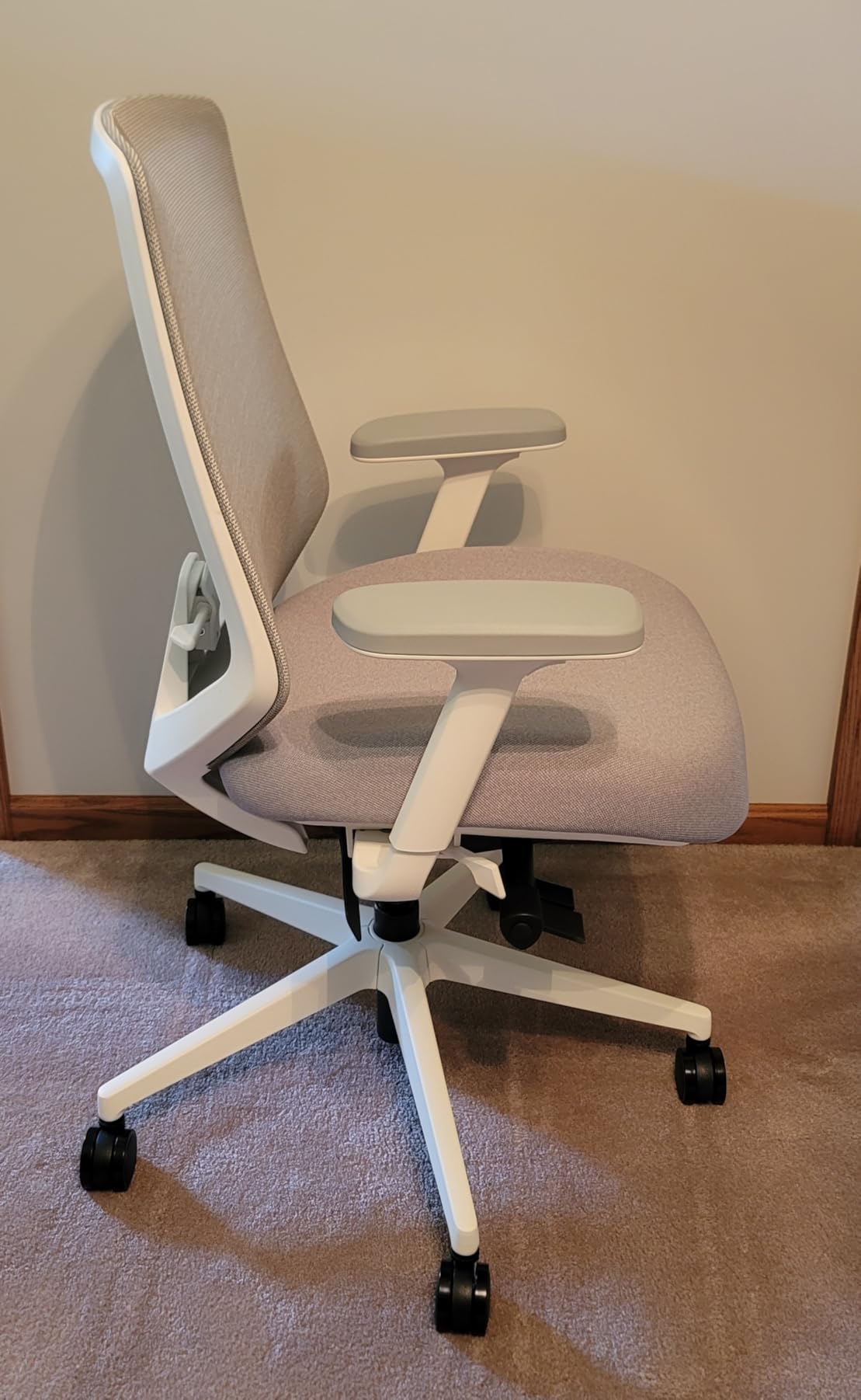 Branch Ergonomic Chair Pro - Mesh Office Chair with 14 Points of Adjustment - Height, Depth & Tilt Adjustable - 5D Armrests - Forward Tilt, Smooth Recline, and Lumbar Support - Black - Customer Photo 2