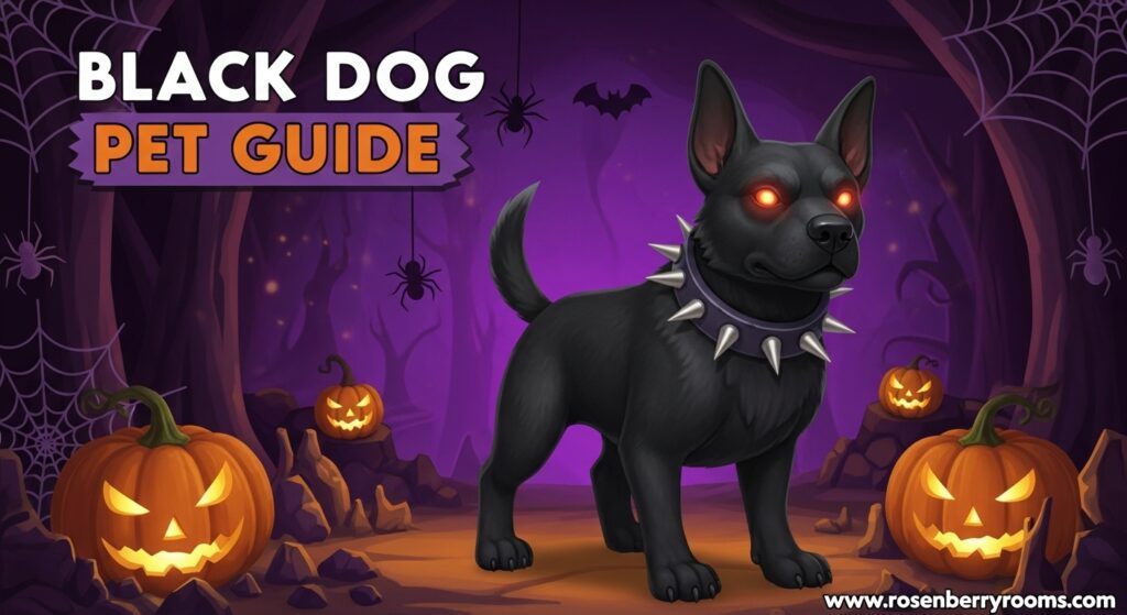 Black Dog Pet