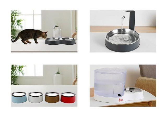 Best Water Bowls for Cats [cy]: Top 10 Options Tested & Reviewed - RosenberryRooms