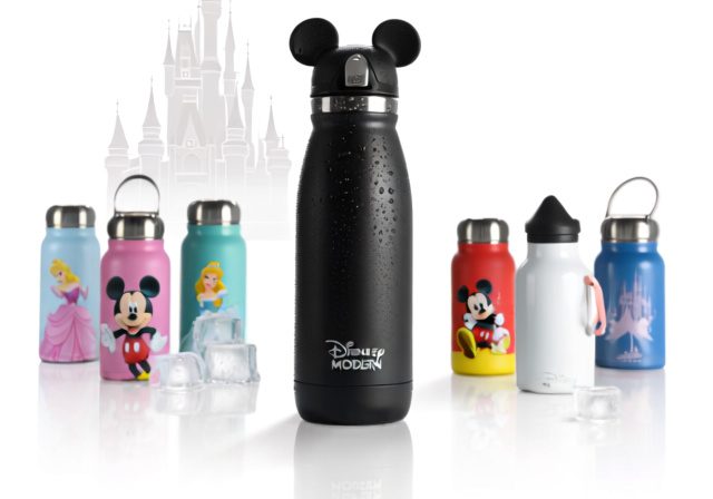 Best Water Bottle For Disney World [cy]: Complete Guide - RosenberryRooms