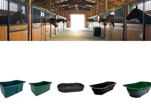Best Water Trough For Horses [cy]: Complete Guide to 10 Top-Rated Options - RosenberryRooms