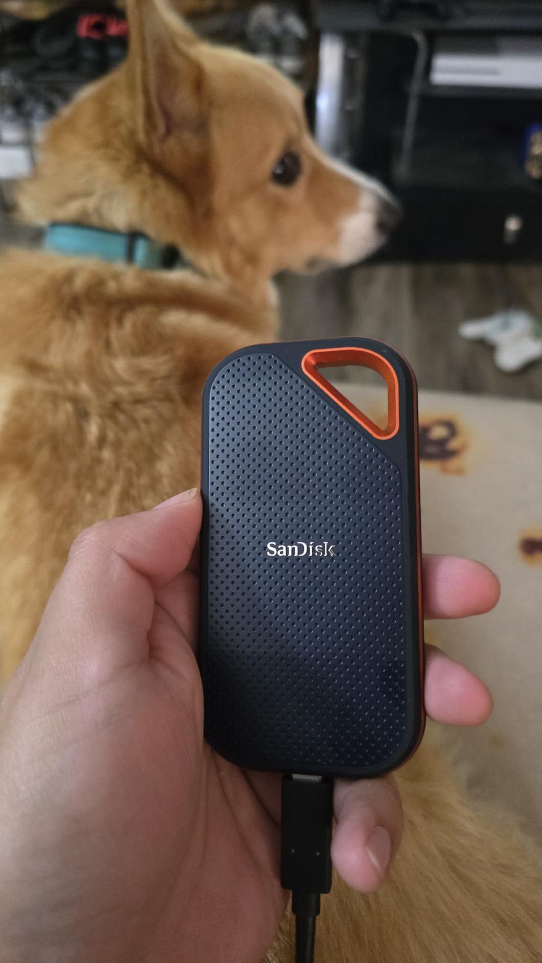SanDisk 2TB Extreme PRO Portable SSD - Up to 2000MB/s - USB-C. USB 3.2 Gen 2x2. IP65 Water and Dust Resistance. Updated Firmware - External Solid State Drive - SDSSDE81-2T00-G25 customer photo 1