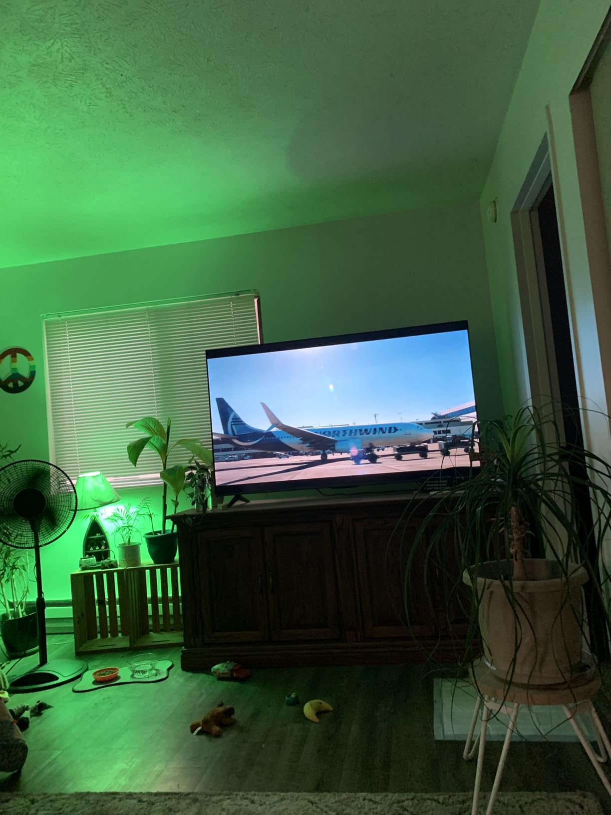 INSIGNIA 65-inch Class F50 Series LED 4K UHD Smart Fire TV with Alexa Voice Remote (NS-65F501NA24) customer photo 2