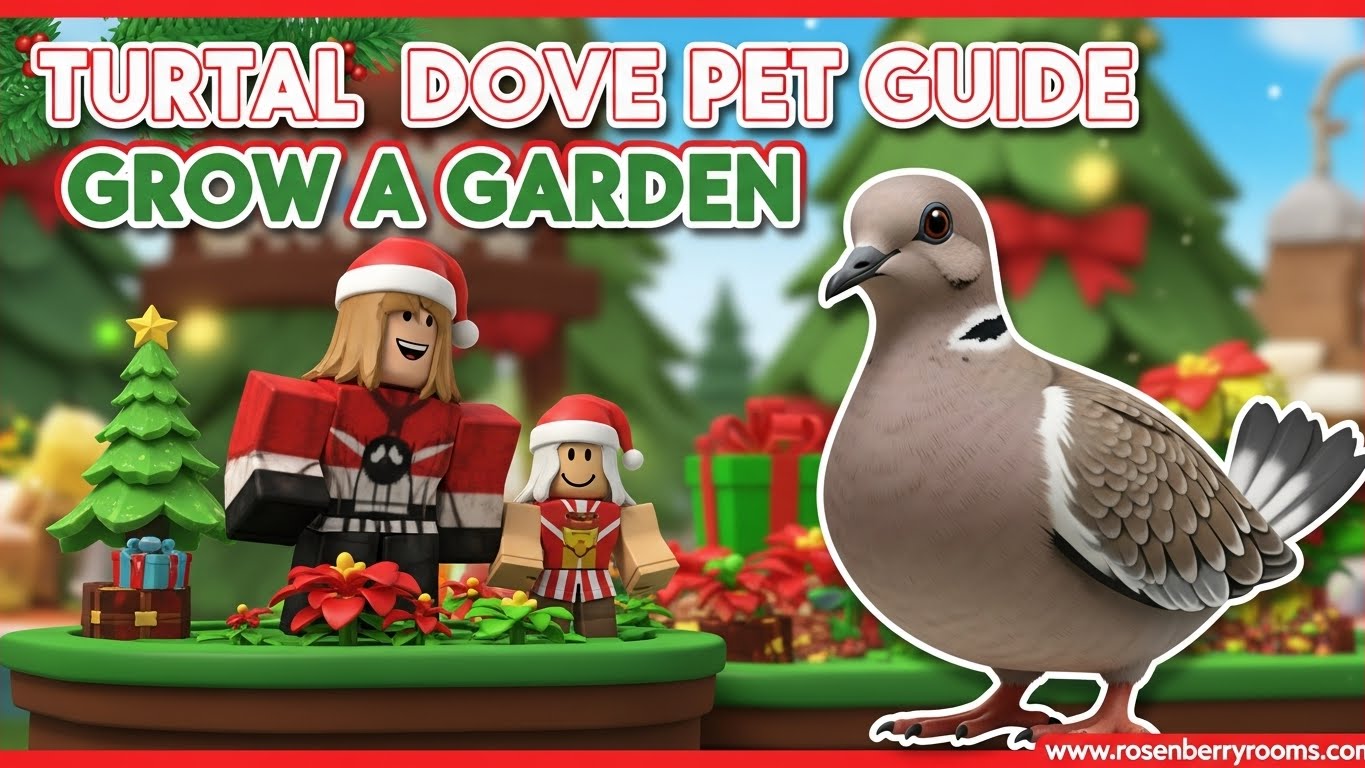Turtle Dove Pet