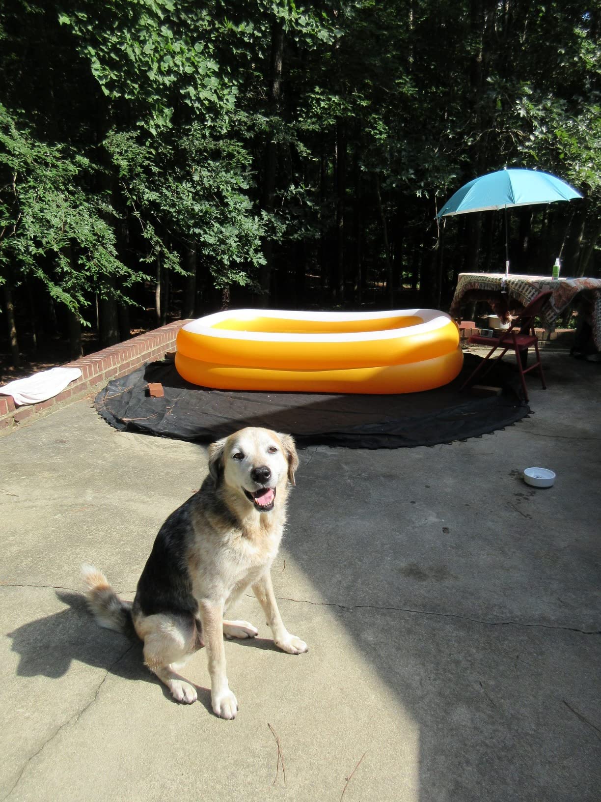 INTEX Rectangular Family Lounge Inflatable Swimming Pool for Kids & Adults | 58484EP - Outdoor Backyard Swim Center for Family Fun, 120in x 72in x 22in customer photo 2