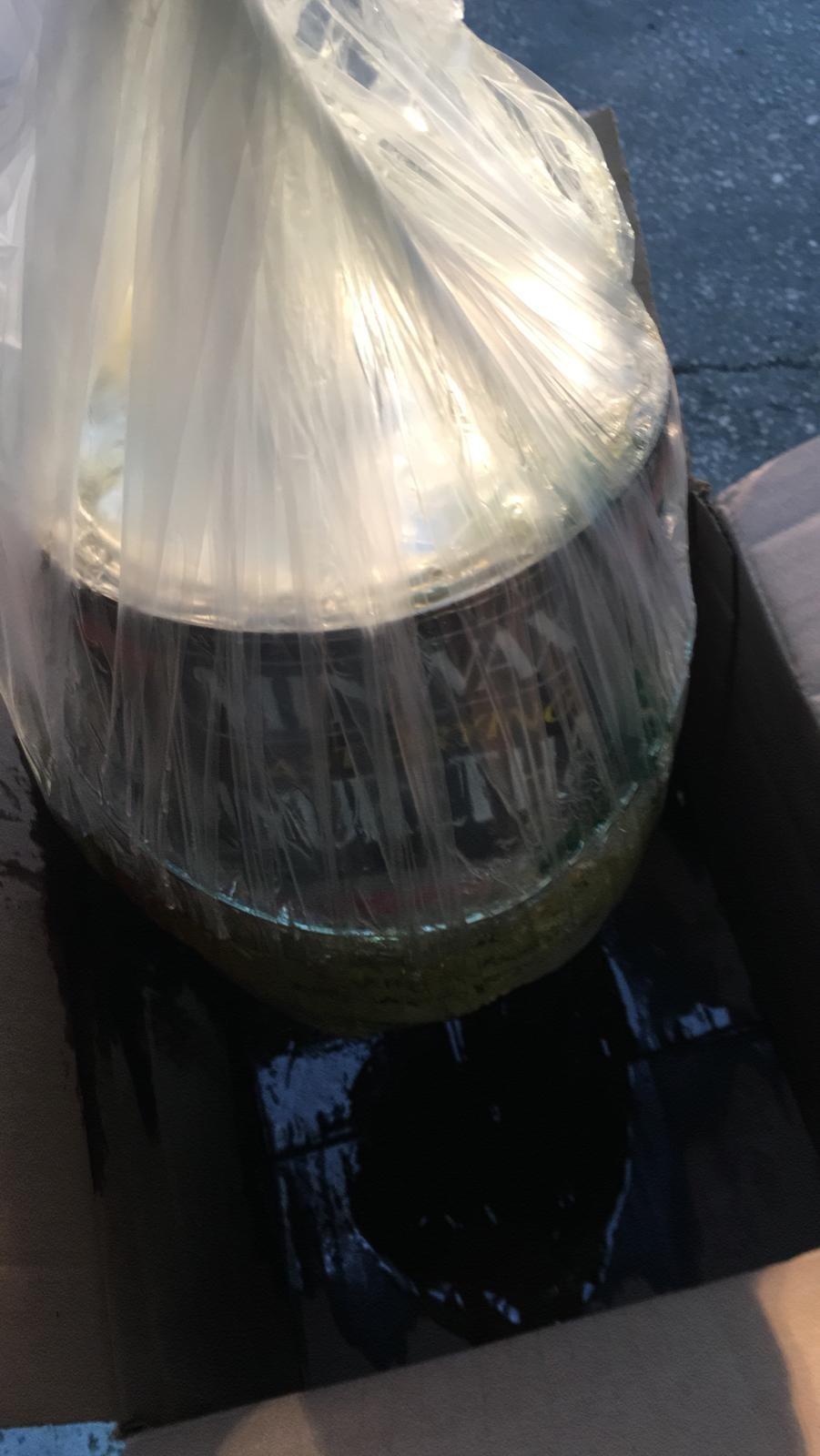 Minwax Fast Drying Polyurethane Protective Wood Finish, Clear Gloss, 1 Gallon - Customer Photo 2