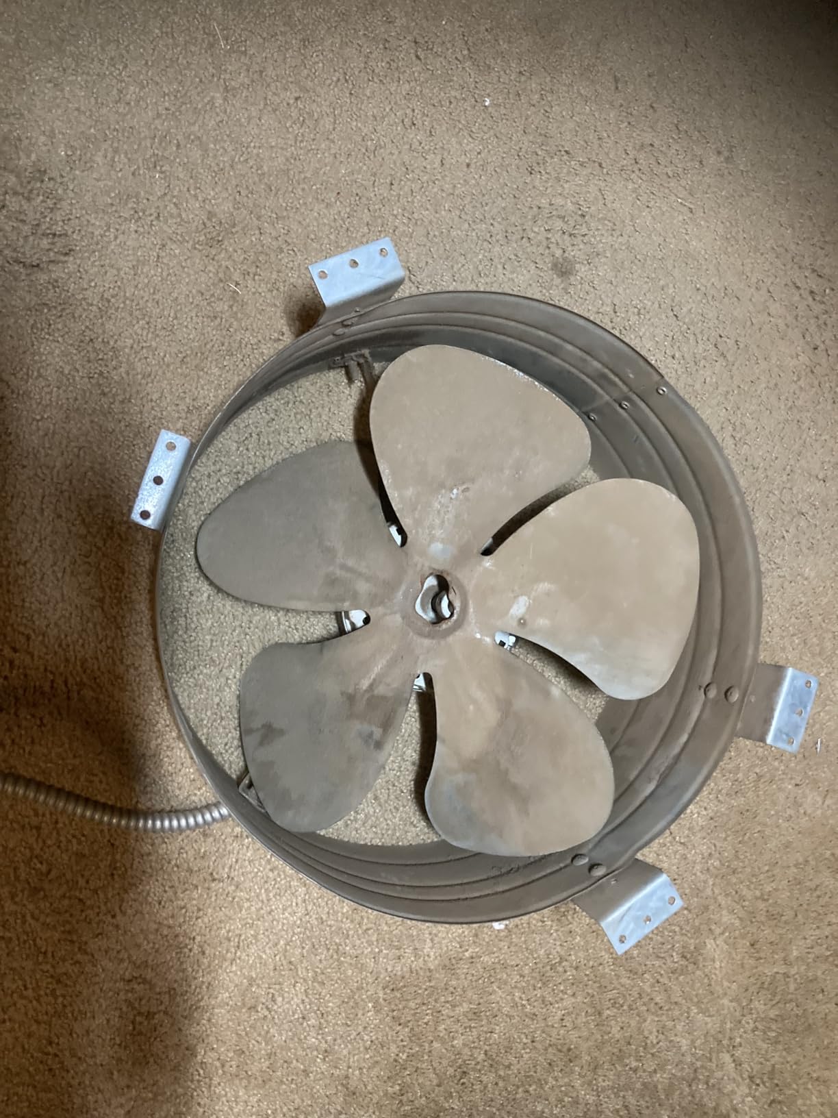 Cool Attic CX1500 Gable Mount Power Attic Ventilator with 2.6-Amp 60-Hz Motor and 14-Inch Blade Customer Review Cool Attic CX1500 Gable Mount Power Attic Ventilator with 2.6-Amp 60-Hz Motor and 14-Inch Blade - Customer Photo 2