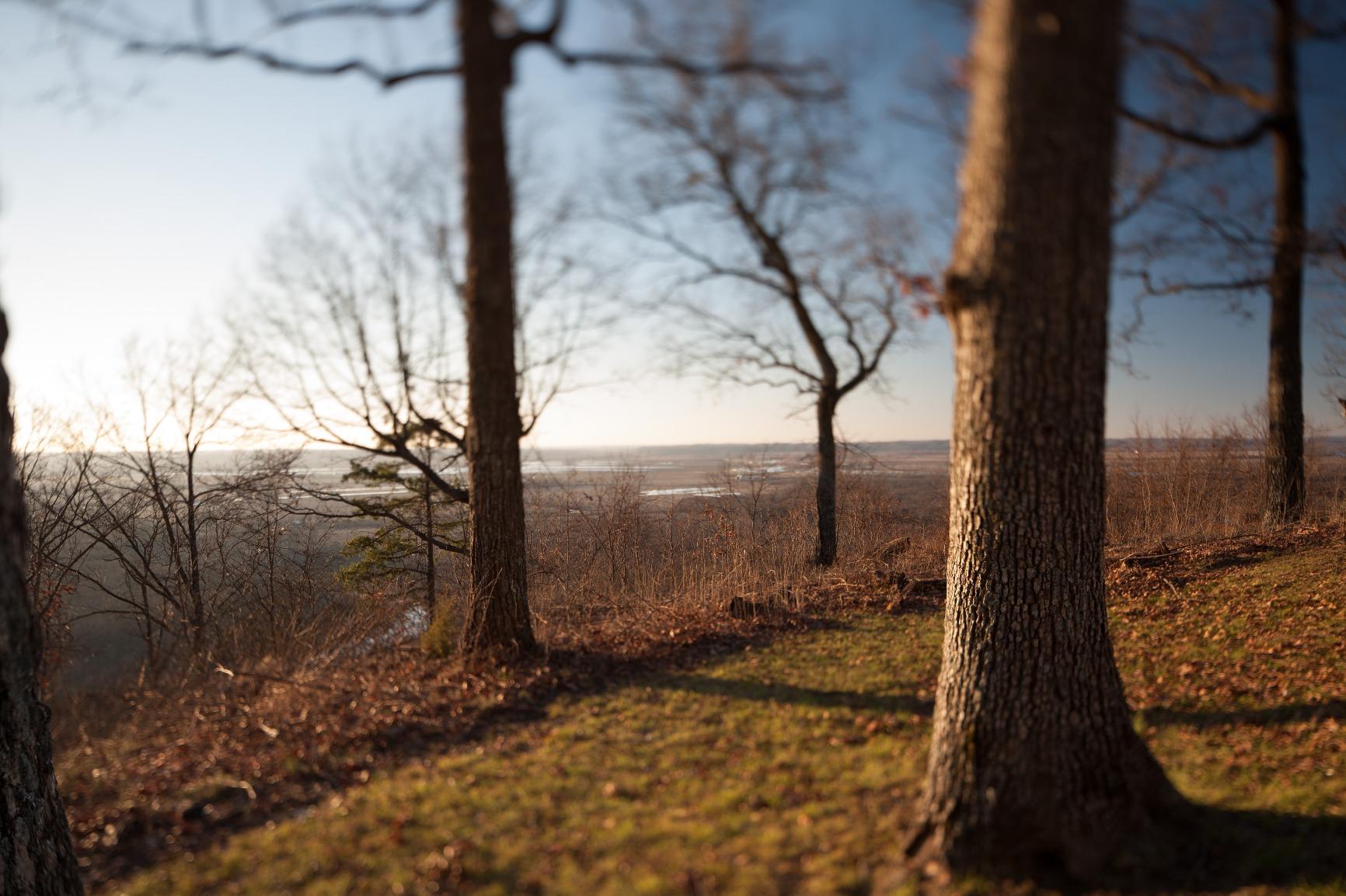 Canon 24mm F3.5 L II TS-E Tilt Shift Lens Customer Review Canon 24mm F3.5 L II TS-E Tilt Shift Lens - Customer Photo 3