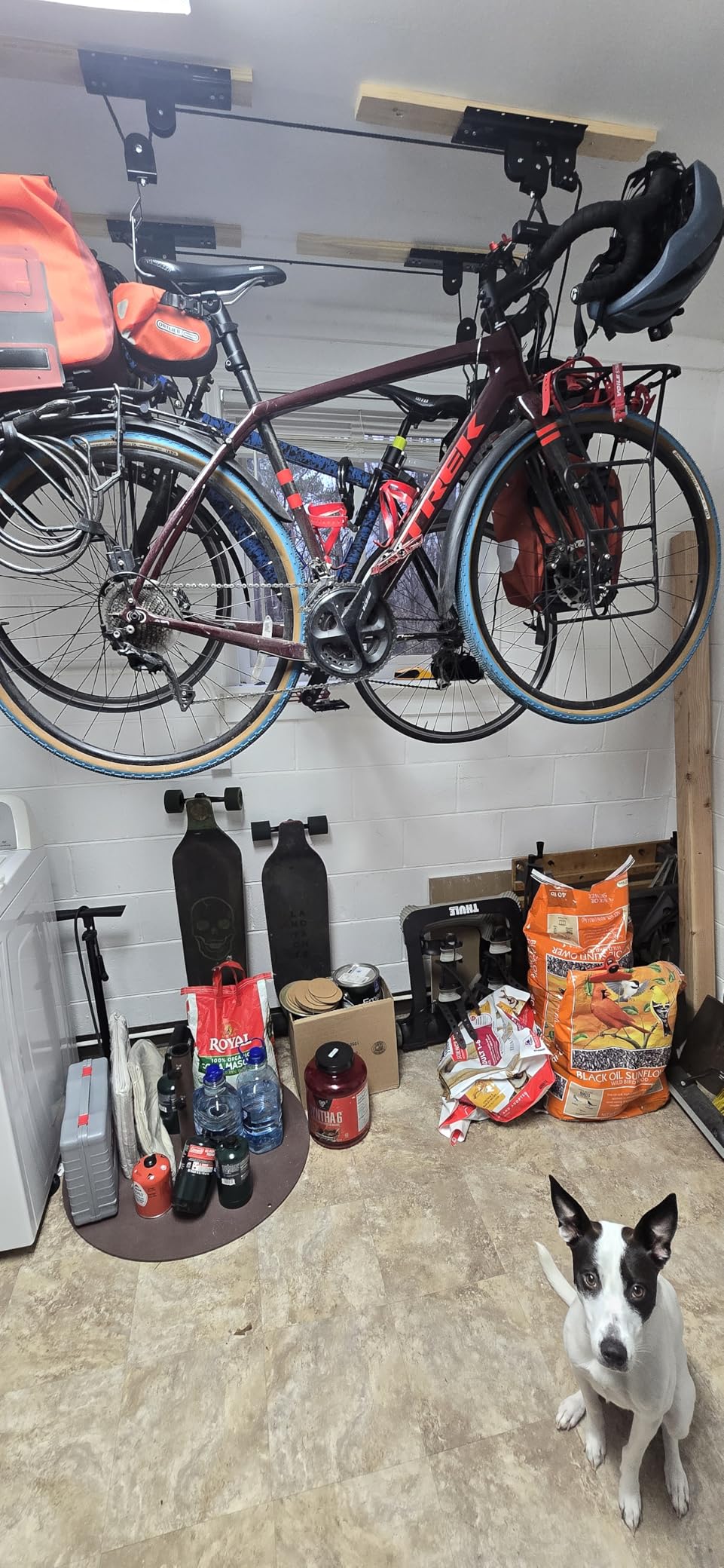 Bike Hanger - Overhead Hoist Pulley System with 100lb Capacity for Bicycles or Ladders - Secure Garage Ceiling Storage by Rad Sportz customer photo 1