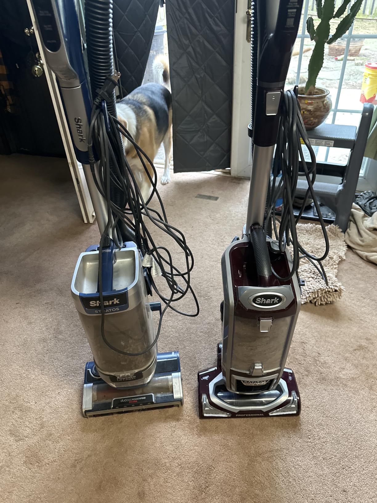 Shark NV501 Rotator Professional Lift-Away Upright Vacuum with HEPA Filter, Swivel Steering, LED Headlights, Wide Upholstery Tool, Dusting Brush & Crevice Tool, White/Red Customer Review Shark NV501 Rotator Professional Lift-Away Upright Vacuum with HEPA Filter, Swivel Steering, LED Headlights, Wide Upholstery Tool, Dusting Brush & Crevice Tool, White/Red - Customer Photo 1