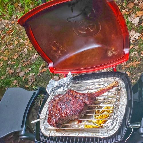 Weber Q1200 Liquid Propane Portable Gas Grill for Travel and Camping, 1 Burner, Titanium - Customer Photo 1