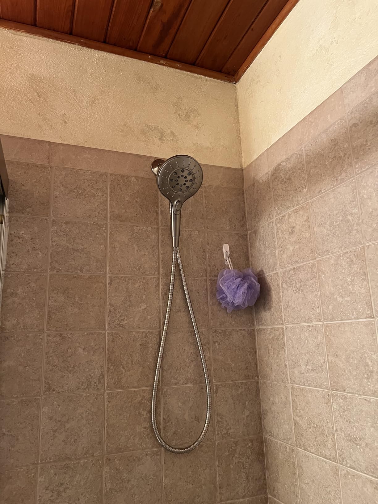 Moen Engage Spot Resist Brushed Nickel Handheld Showerhead customer photo 1
