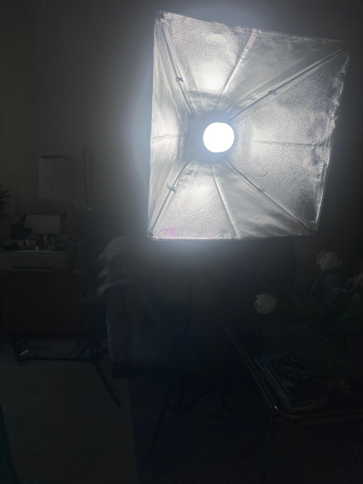 NEEWER Photography Lighting kit with Backdrops, 8.5x10ft Backdrop Stands, UL Certified 5700K 800W Equivalent 24W LED Umbrella Softbox Continuous Lighting, Photo Studio Equipment for Photo Video Shoot Customer Review NEEWER Photography Lighting kit with Backdrops, 8.5x10ft Backdrop Stands, UL Certified 5700K 800W Equivalent 24W LED Umbrella Softbox Continuous Lighting, Photo Studio Equipment for Photo Video Shoot - Customer Photo 3
