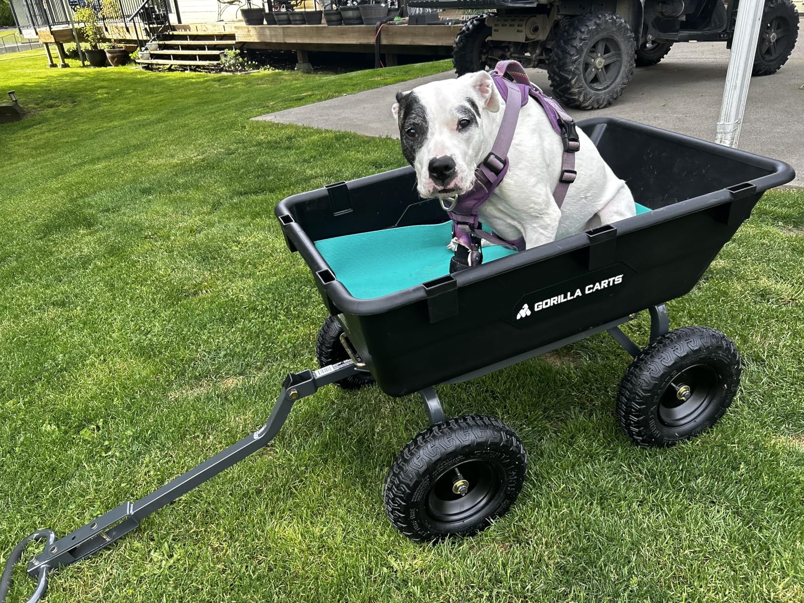 Gorilla Carts Poly Garden Dump Cart, 4 Cu Ft Tub, 600 lb Haul Capacity, Black - Heavy-Duty Utility Wagon with Quick-Release Dumping & Pneumatic Tires for Yard, Landscaping and Gardening customer photo 2
