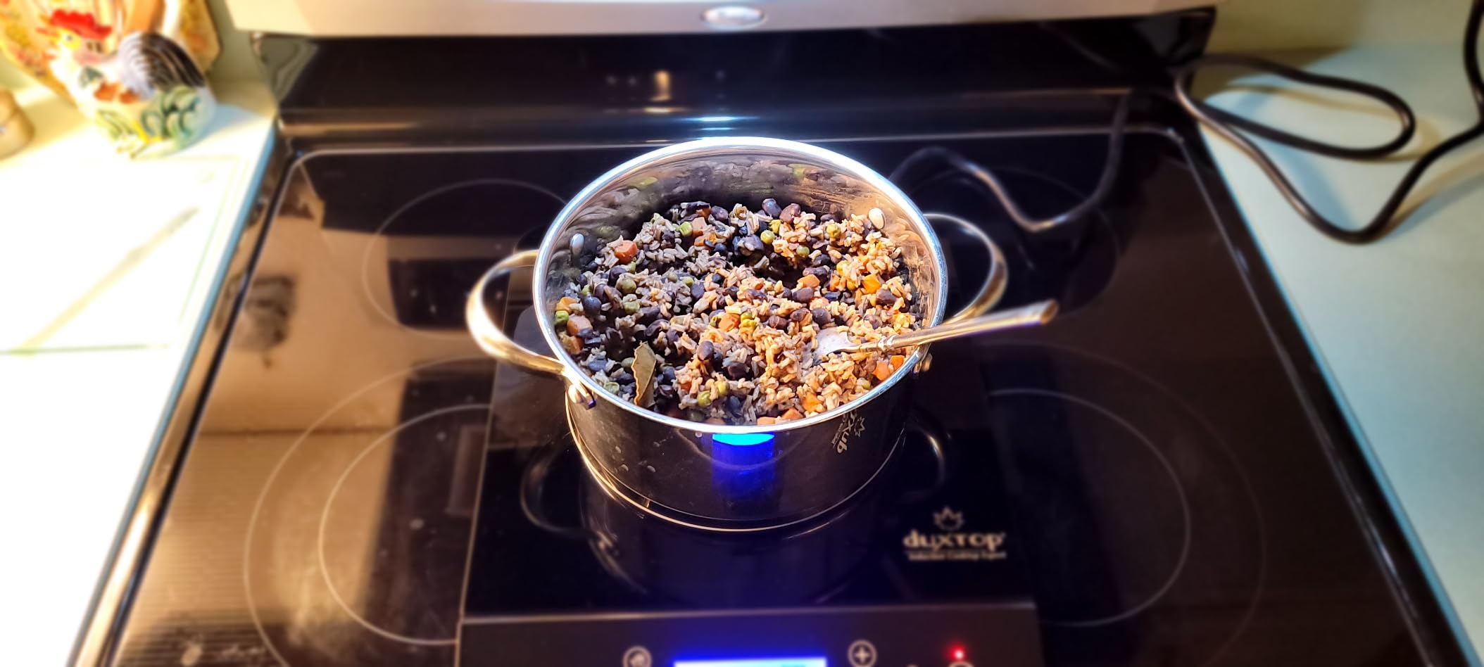 Duxtop Portable Induction Cooktop Burner, Induction Hot Plate with LCD Sensor Touch 1800 Watts, Silver 9600LS/BT-200DZ Customer Review Duxtop Portable Induction Cooktop Burner, Induction Hot Plate with LCD Sensor Touch 1800 Watts, Silver 9600LS/BT-200DZ - Customer Photo 2
