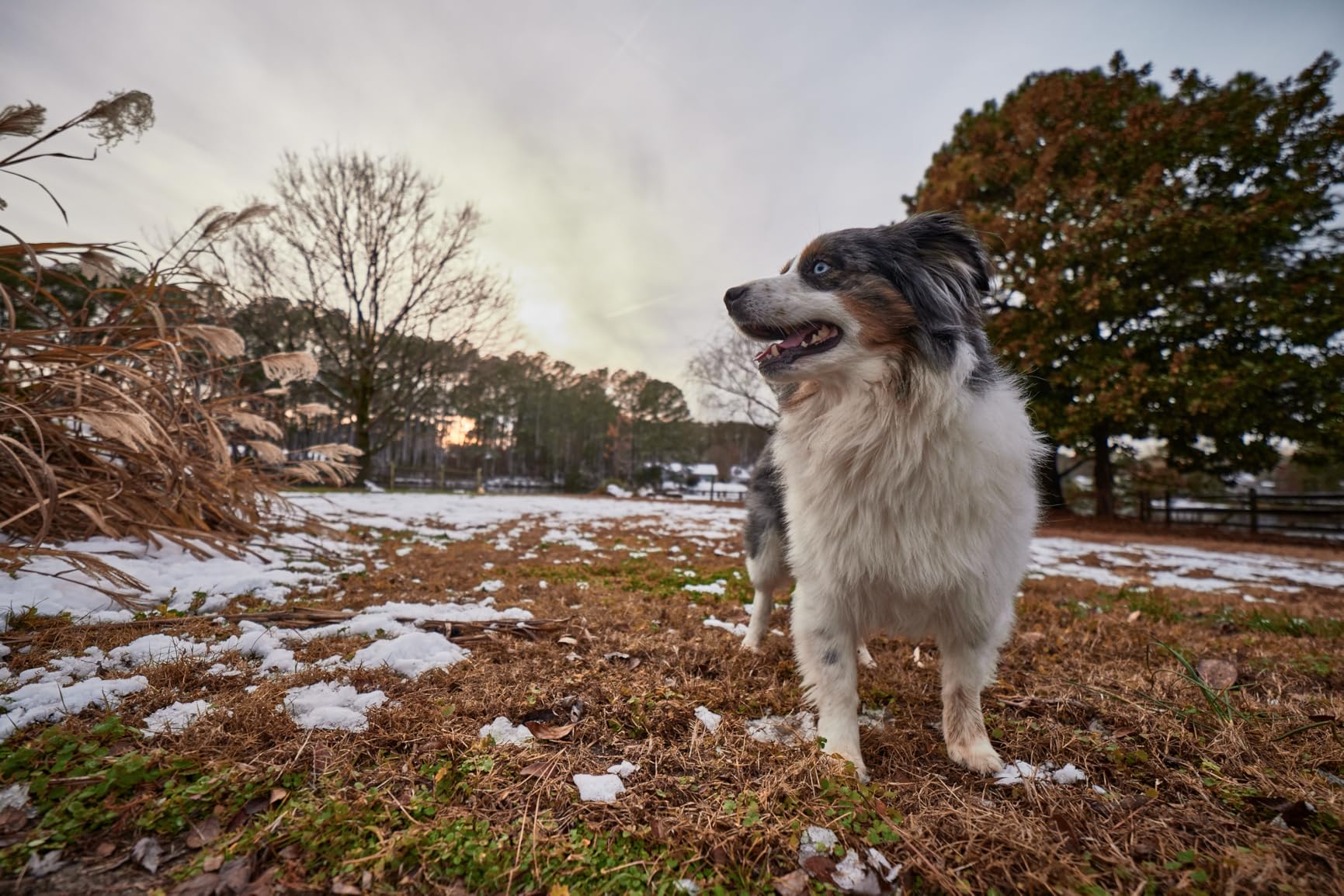 Rokinon AF 14mm F2.8 Ultra Wide Lens for Sony E Full Frame and APS-C – Autofocus, Built-in Hood, UMC Coating, Compact Design, Aspherical Elements, Low Light, Landscape, Travel Photography Customer Review Rokinon AF 14mm F2.8 Ultra Wide Lens for Sony E Full Frame and APS-C – Autofocus, Built-in Hood, UMC Coating, Compact Design, Aspherical Elements, Low Light, Landscape, Travel Photography - Customer Photo 2