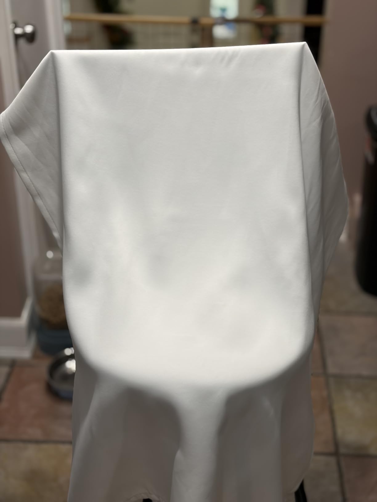 BEAUTURAL Steamer for Clothes, Portable Handheld Garment Fabric Wrinkles Remover, 30-Second Fast Heat-up, Auto-Off, Large Detachable Water Tank - Customer Photo 1