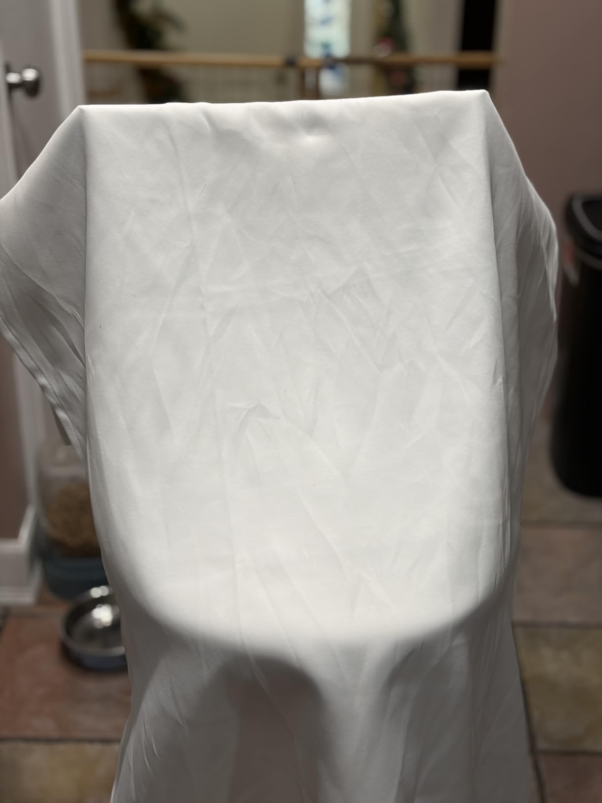 BEAUTURAL Steamer for Clothes, Portable Handheld Garment Fabric Wrinkles Remover, 30-Second Fast Heat-up, Auto-Off, Large Detachable Water Tank - Customer Photo 2