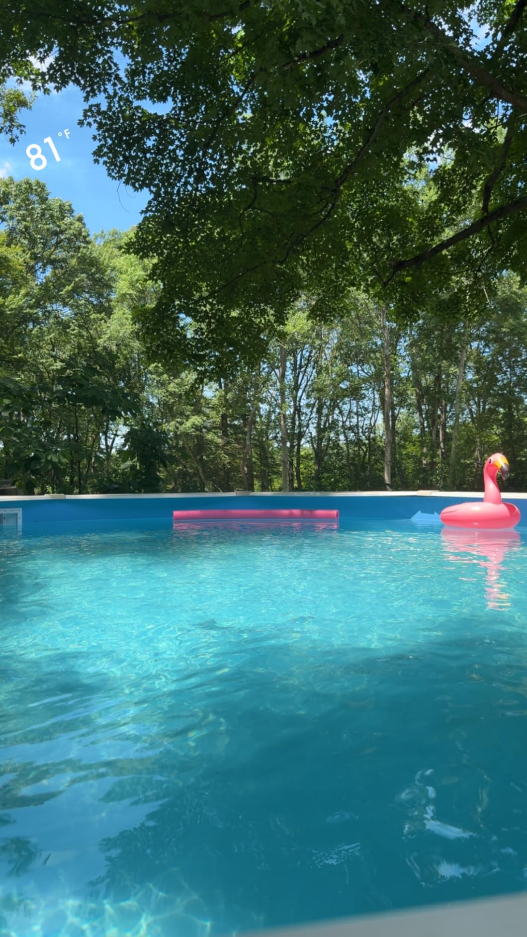 Aquarian Phoenix Round Above Ground Swimming Pool Kit, 18' x 52 customer photo 1