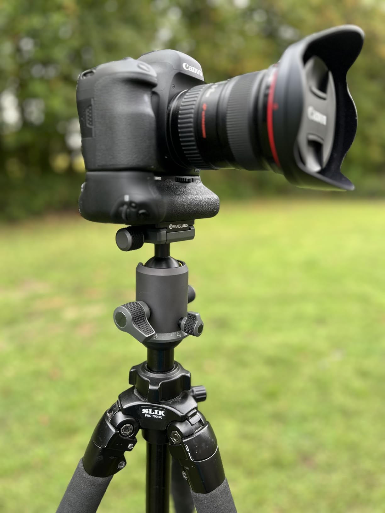 Vanguard Alta BH-250 Ball Head - Customer Photo 1