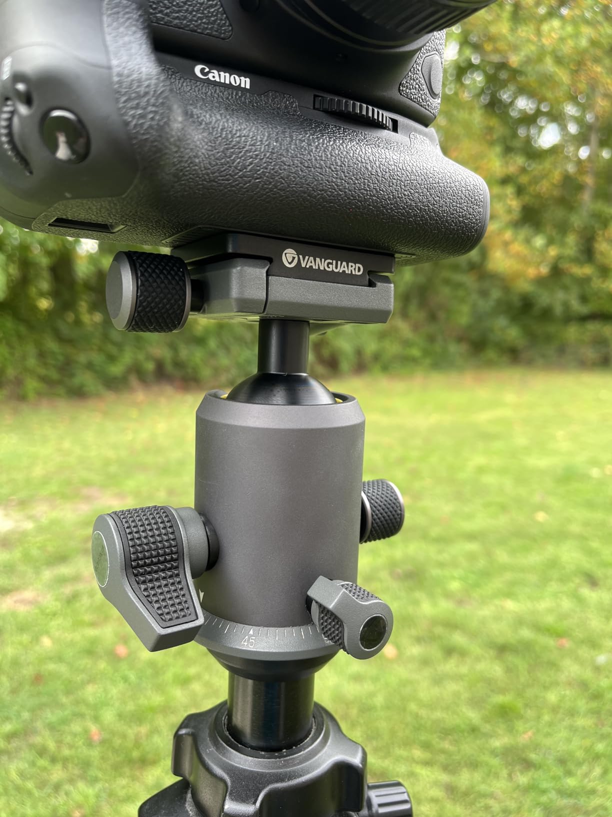 Vanguard Alta BH-250 Ball Head - Customer Photo 2