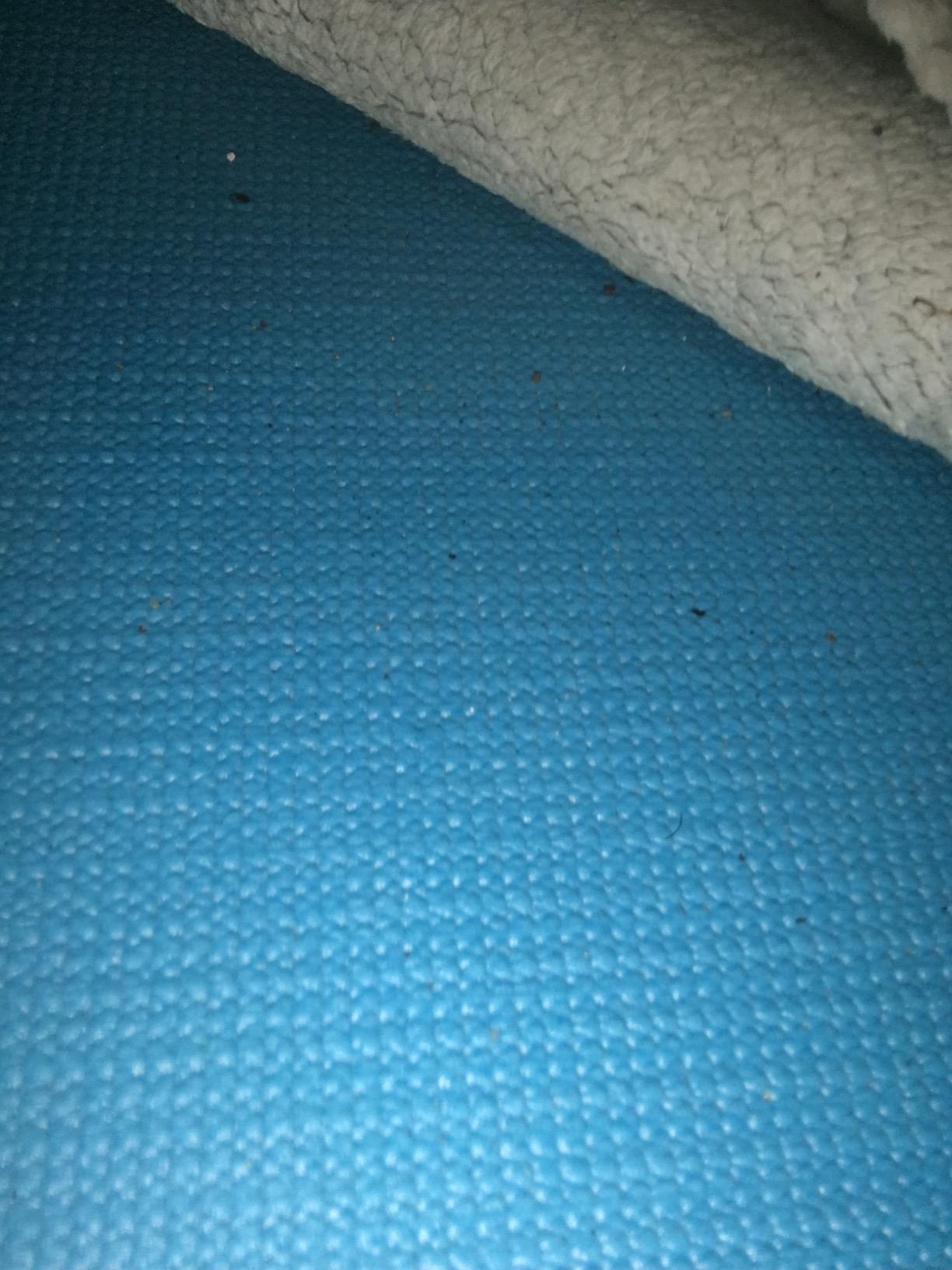 CAP Barbell Non-Slip Yoga & Fitness Mat | Multiple Options Customer Review CAP Barbell Non-Slip Yoga & Fitness Mat | Multiple Options - Customer Photo 2