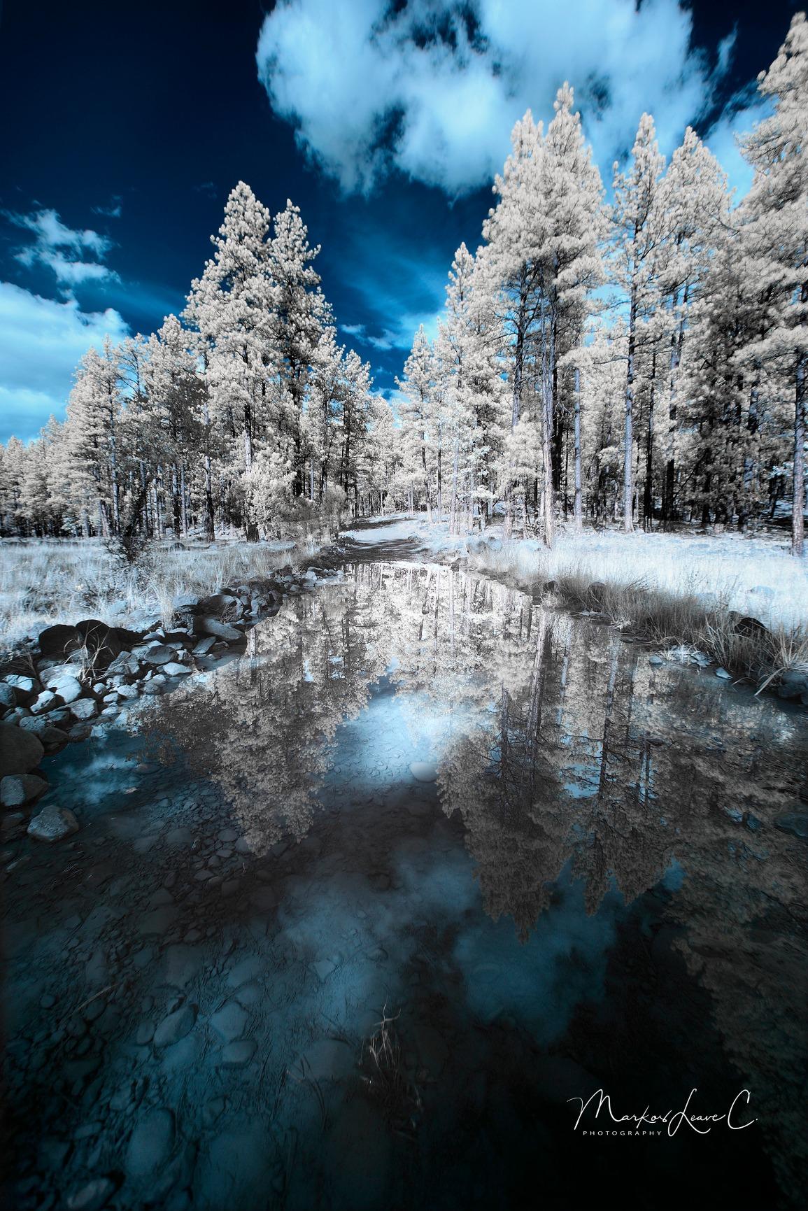Sigma 14mm F/1.8 Art DG HSM Lens (for Canon EOS Cameras) Customer Review Sigma 14mm F/1.8 Art DG HSM Lens (for Canon EOS Cameras) - Customer Photo 3