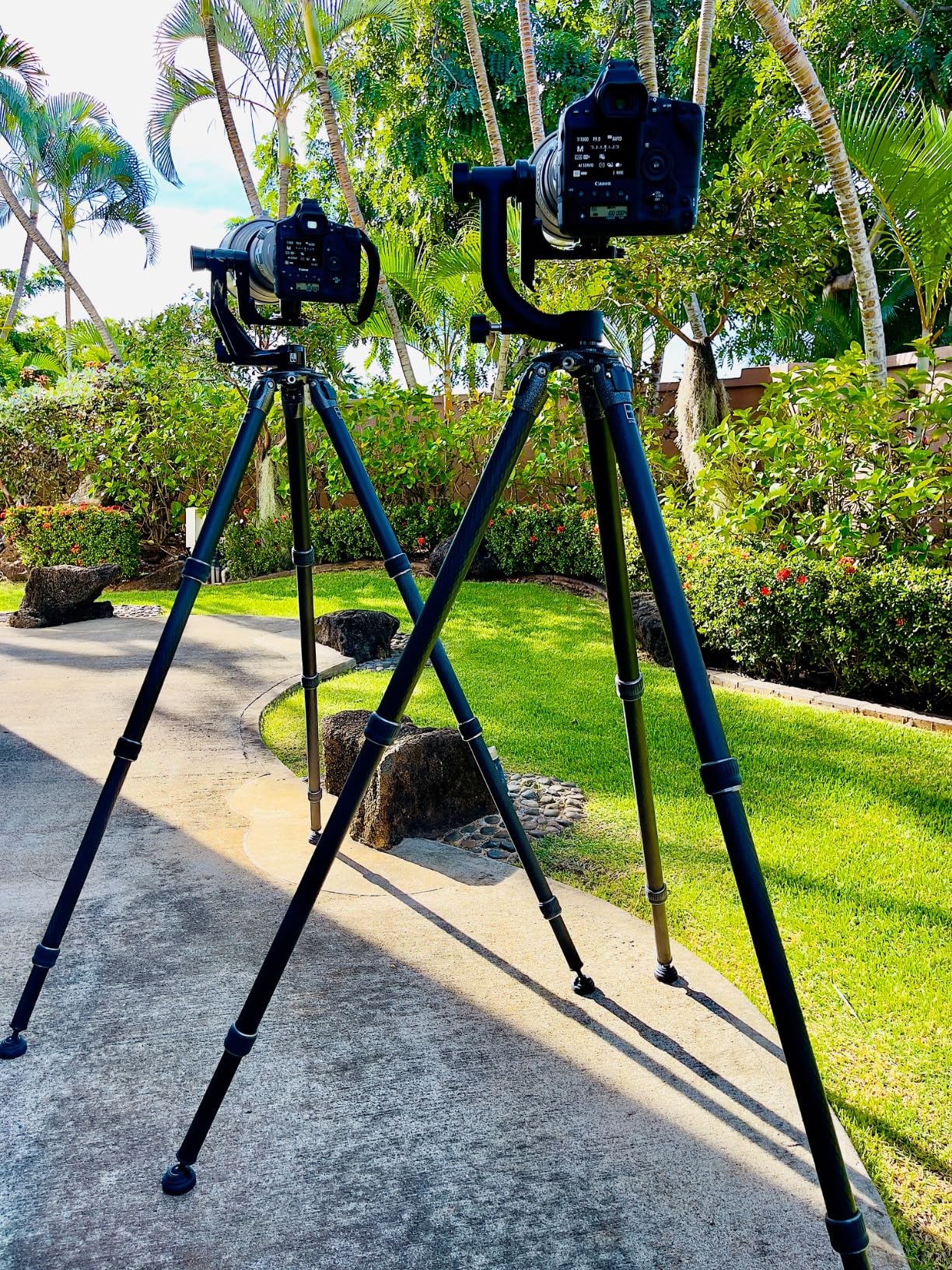 Gitzo GT5543LSUS Lightweight Systematic Tripod SER.5 4S L, Black - Customer Photo 5
