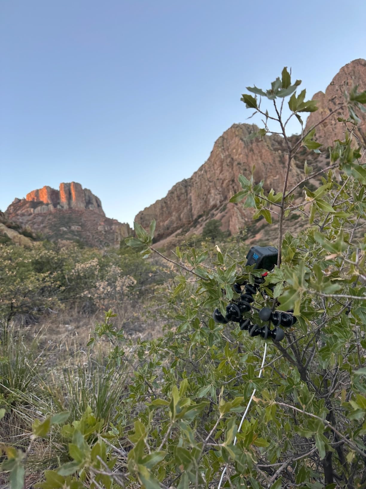 Joby Gorillapod 1K Stand. Lightweight Flexible Tripod 1K Stand for Mirrorless Cameras or Devices Up to 1Kg (2.2Lbs). Black/Charcoal - Customer Photo 1
