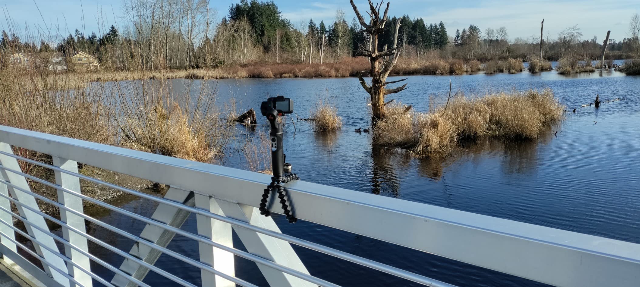 Joby Gorillapod 1K Stand. Lightweight Flexible Tripod 1K Stand for Mirrorless Cameras or Devices Up to 1Kg (2.2Lbs). Black/Charcoal - Customer Photo 2