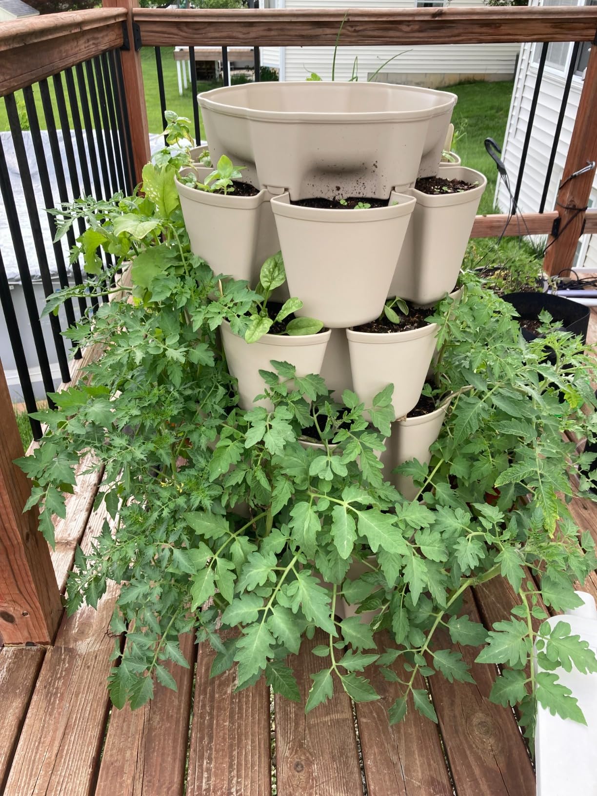 Greenstalk Patented Large 5 Tier Vertical Garden Planter with Patented Internal Watering System Great for Growing a Variety of Strawberries, Vegetables, Herbs, & Flowers (Stunning Stone) customer photo 2