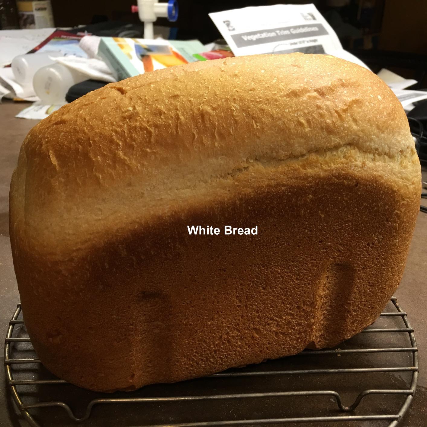 Zojirushi BB-PDC20BA Home Bakery Virtuoso Plus Breadmaker, 2 lb. loaf of bread Customer Review Zojirushi BB-PDC20BA Home Bakery Virtuoso Plus Breadmaker, 2 lb. loaf of bread - Customer Photo 2