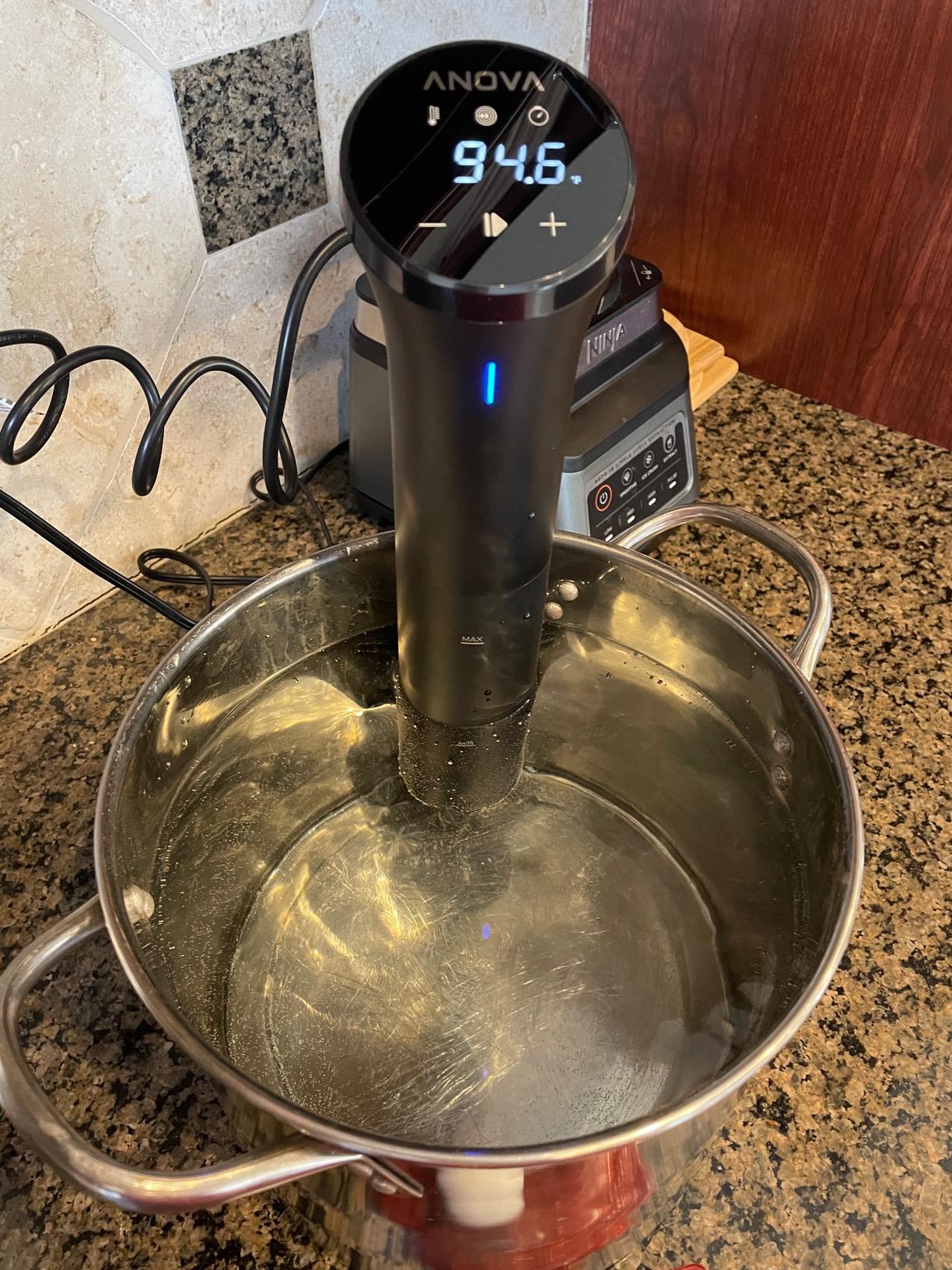 Anova Culinary Sous Vide Precision Cooker Nano 2.0 - Customer Photo 1