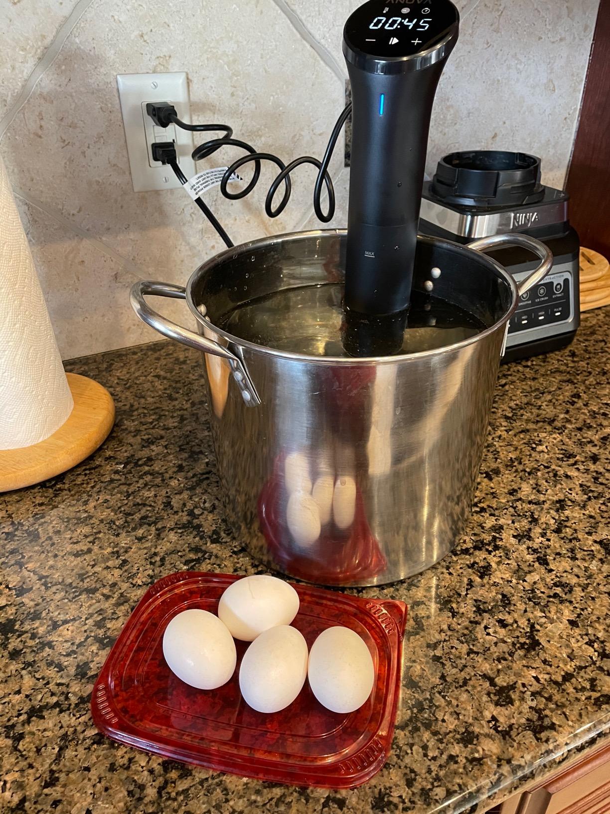 Anova Culinary Sous Vide Precision Cooker Nano 2.0 - Customer Photo 2